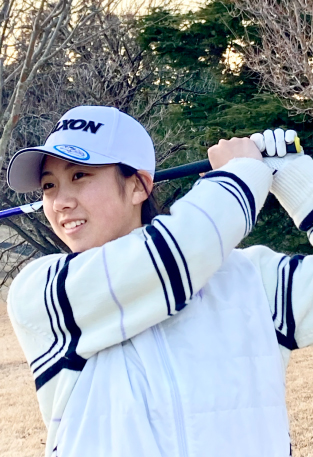 Ĺ��������