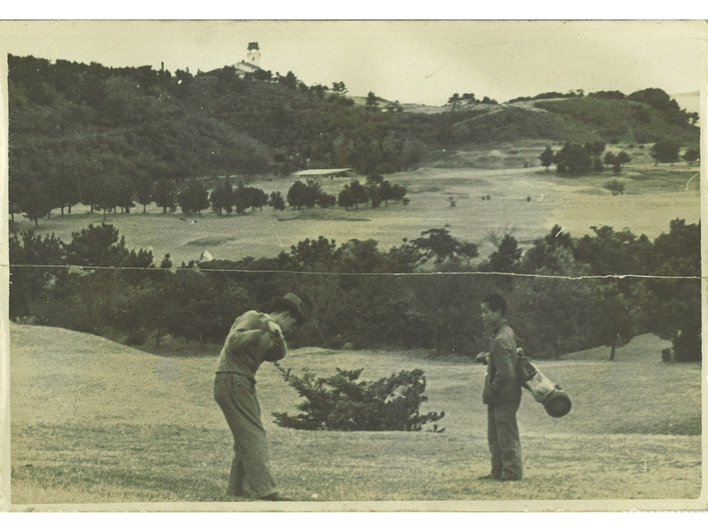 ��� ��ƣ����