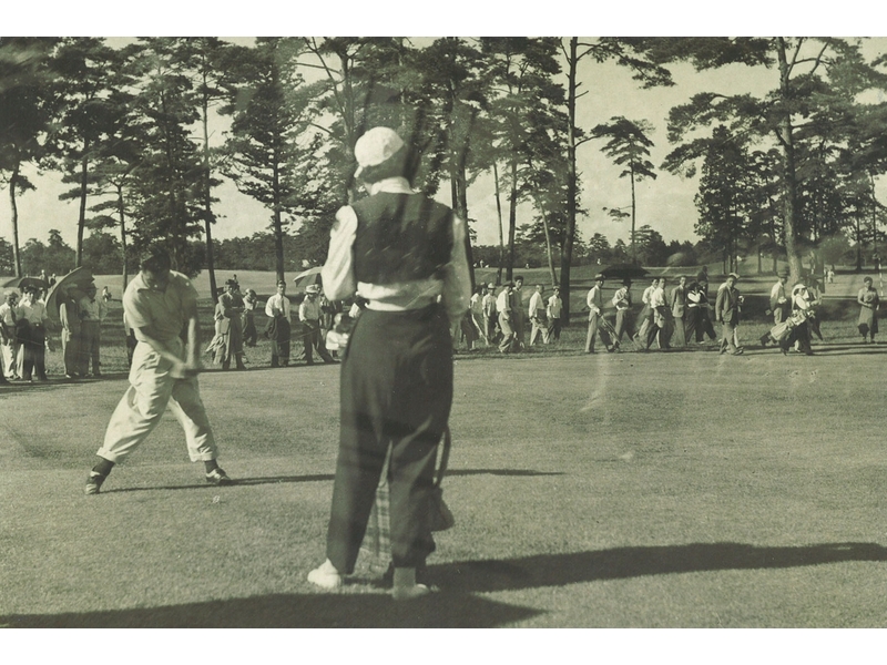 �㤭������ͳϺ��