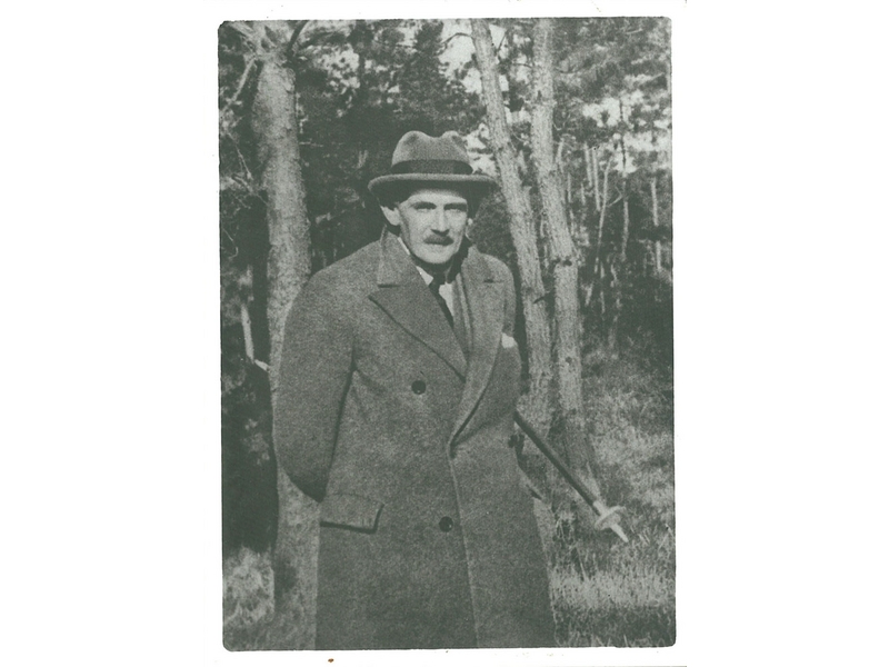 ���㡼�륺�����꥽��